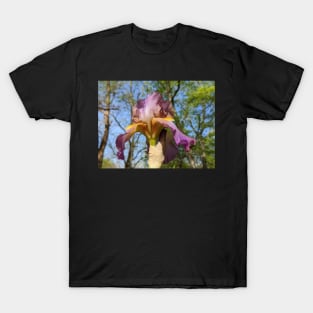 Lavender Iris 4 T-Shirt